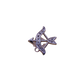 Zodiac Sign