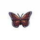 Brown butterfly charm